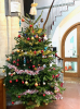 Newport Pagnell Parish Tree