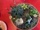 These ceramic mushrooms added interest